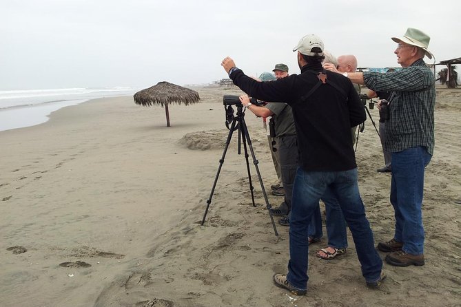 Birdwatching in Villa Wetlands – Lima