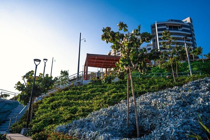 Birdwatching & Landscaping Tour in Lima