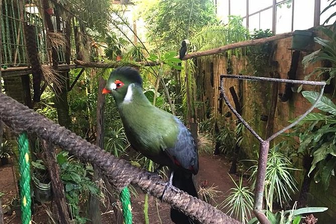 Birdwatching National Aviary Cartagena De Indias