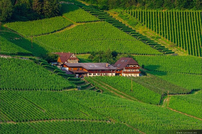 Black Forest. From Baden-Baden to Strasbourg. Two Countries in One Day