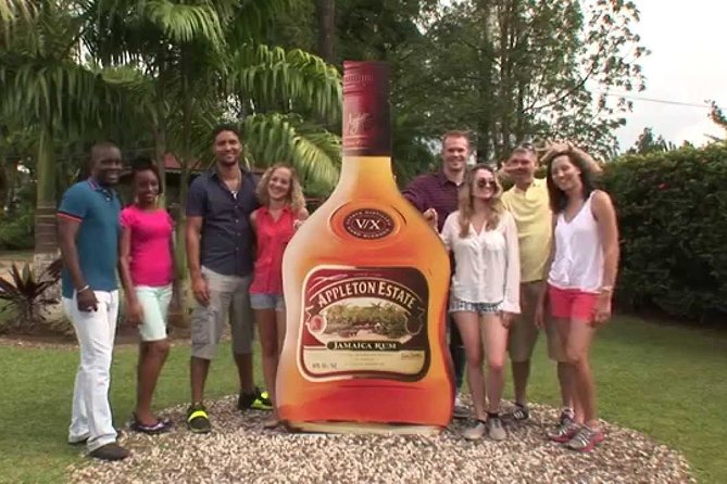 Black River Safari and Appleton Rum Estate Private Tour