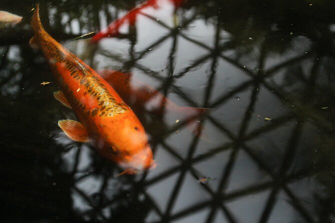 Bloedel Conservatory Admission Ticket - Visitor Experiences and Highlights