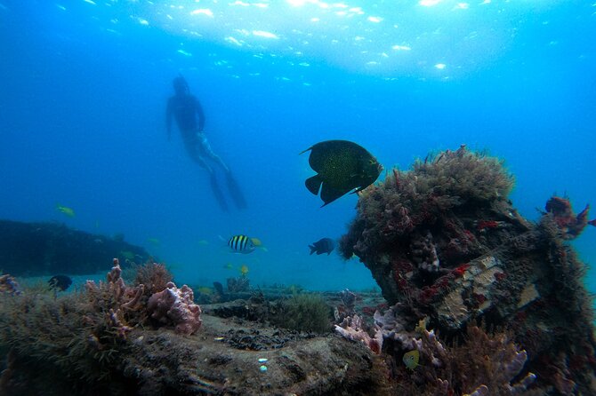 Blue Heron Bridge Guided Snorkel Tour