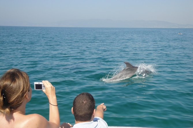 Boat Trip for Dolphin Watching Along the Arrabida Coast and Sesimbra - Meeting Point and Pickup