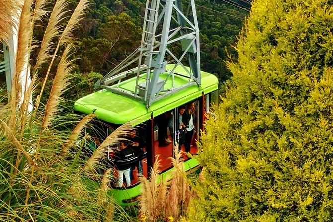 Bogotá Private Exclusive 8 Hours City Tour, Lunch, All Included - Inclusions and Amenities