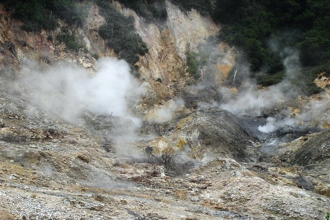 Bon Voyage - St. Lucia Tour