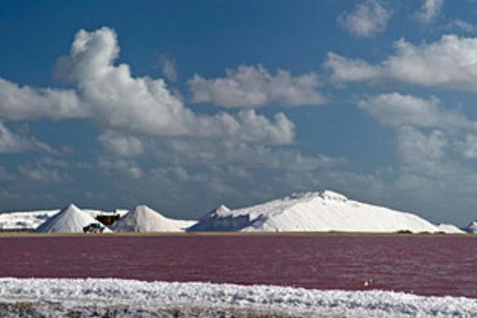 Bonaire Shore Excursion: Scenic Bonaire and Coco Beach Small Group Tour
