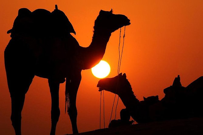 Book Van 8 Seats 10 Days Tour Around Morocco