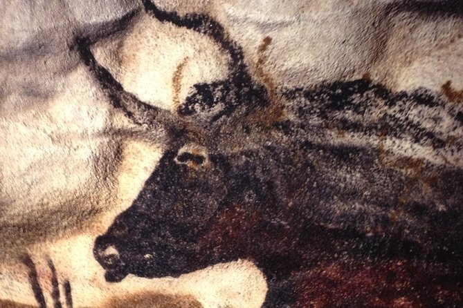 Bordeaux to Lascaux and Dordogne Valley Private Sightseeing Tour