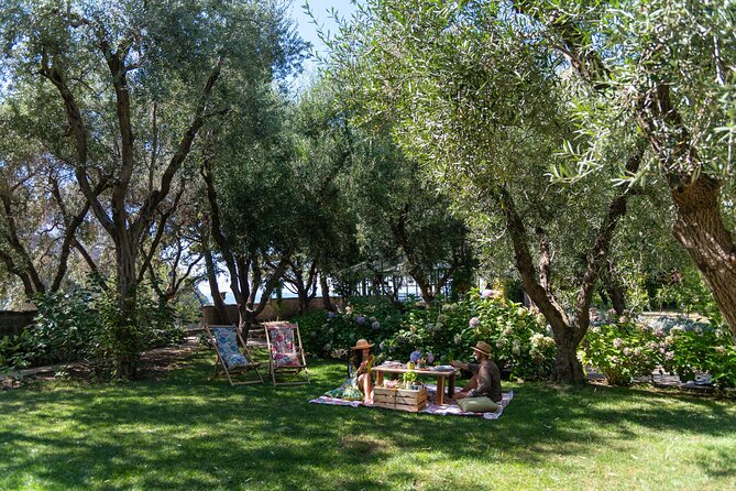 Botanical Picnic in a Historical Garden in the Heart of Sorrento - Immerse in the Gardens Enchantment
