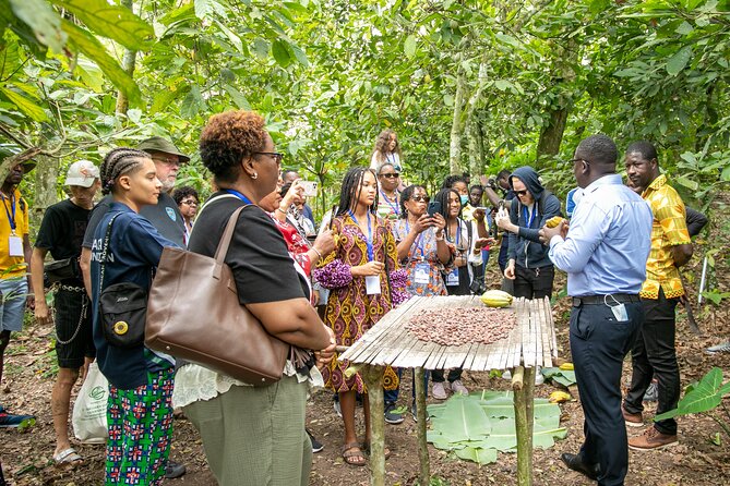 Boti Falls, Botanic Gardens, Cocoa Fam, Umbrella Rock Experience