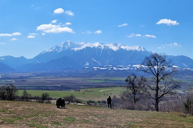 Bran Castle & Bear Sanctuary From Brasov – Optional Peles Castle