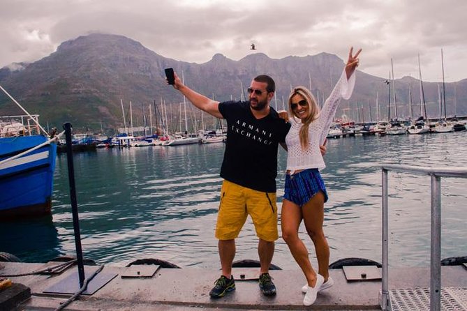Breath-taking Cape Peninsula Tour