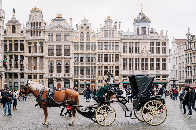 Brussels Half Day Tour With a Local Guide, Private & Custom
