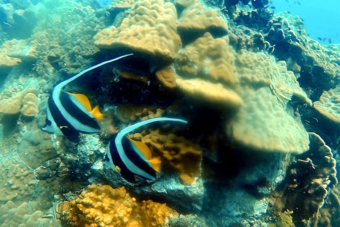 Bubblemaker, Diving for Youngsters, 8 and 9 Years Old ( Start at Ko Kut)