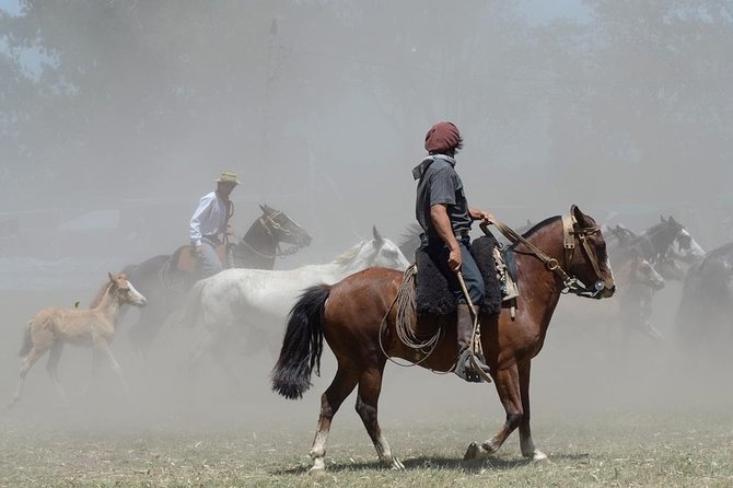 Buenos Aires Shore Excursion: Gaucho Day Trip to Santa Susana Ranch