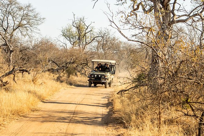 Bundox Big 5 Morning Game Drive - Experience the Thrill