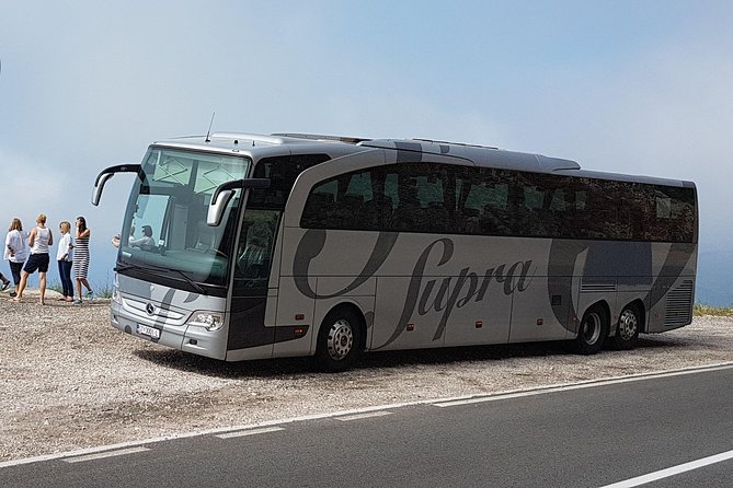 Bus / Coach Excursion