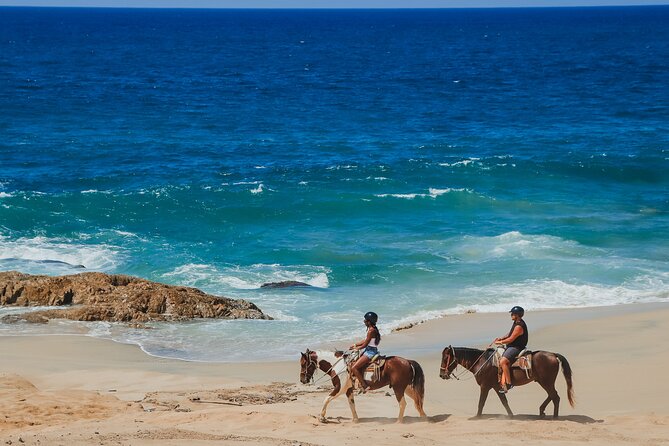 Cabo Horseback Riding on Pacific Beach and Desert - Tour Overview