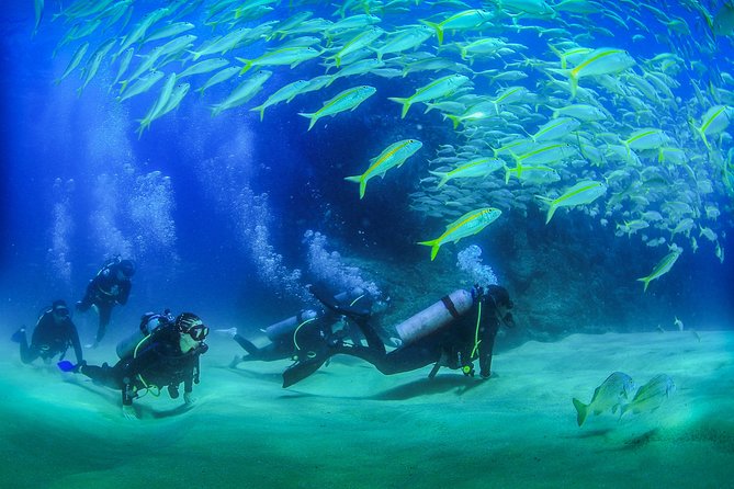 Cabo San Lucas Certified 2 Tank Dive at the Famous Arch and Lands End