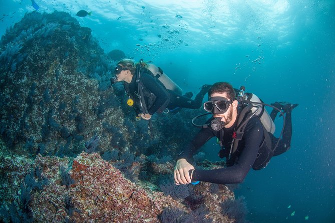 Cabo San Lucas PADI Open Water Certified Diver Course