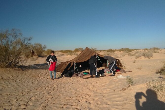 Camel Ride and 1 Night in the Desert