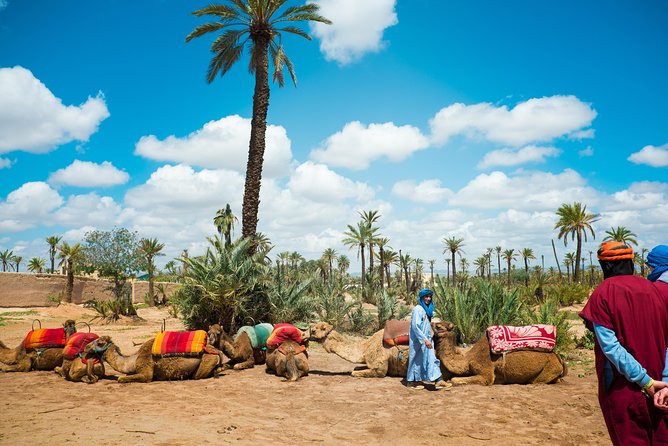 Camel Ride and Quad Biking With Fresh Mint Tea