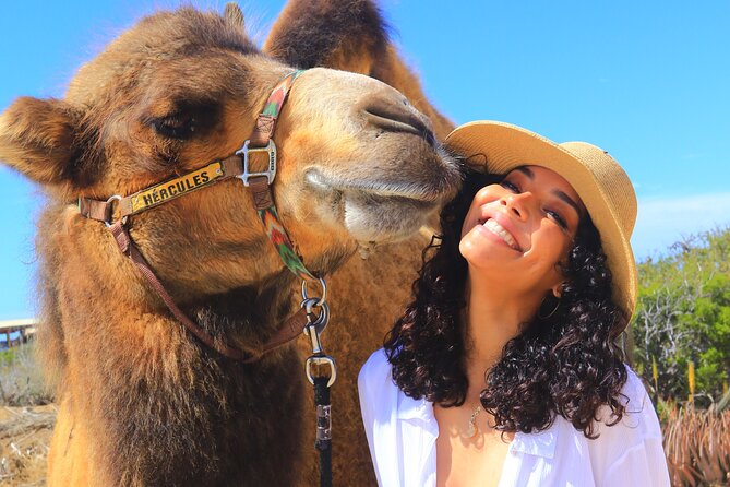 Camel Ride and UTV Combo Adventure, With Tequila Tasting - Tour Overview and Details