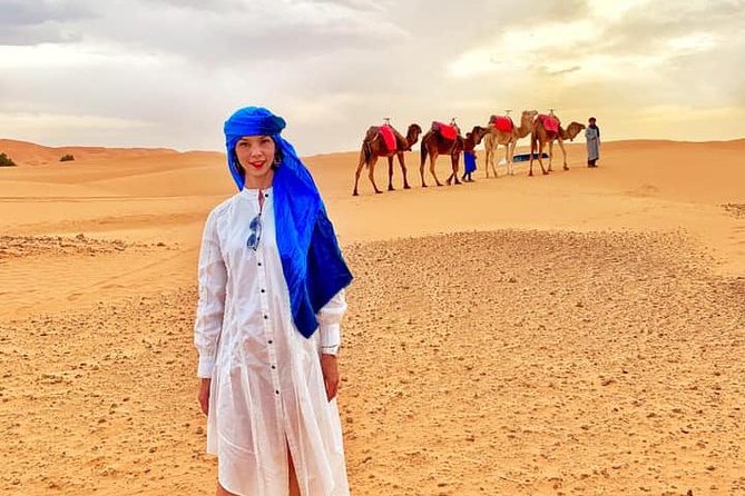 Camel Ride Experience