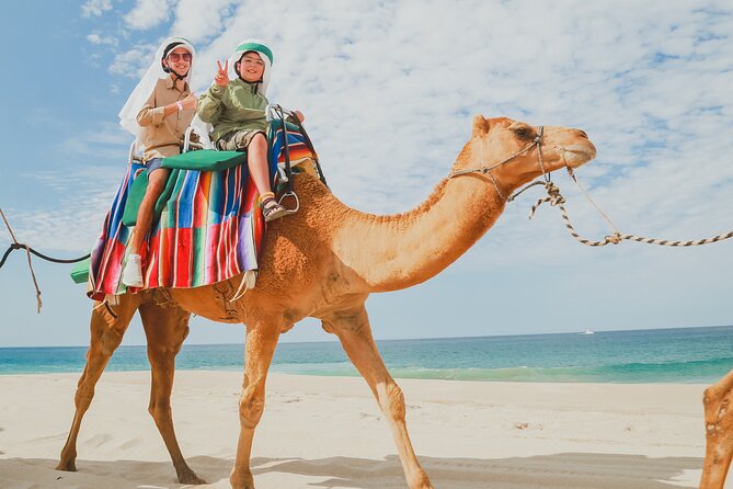 Camel Ride on the Beach With Mexican Lunch