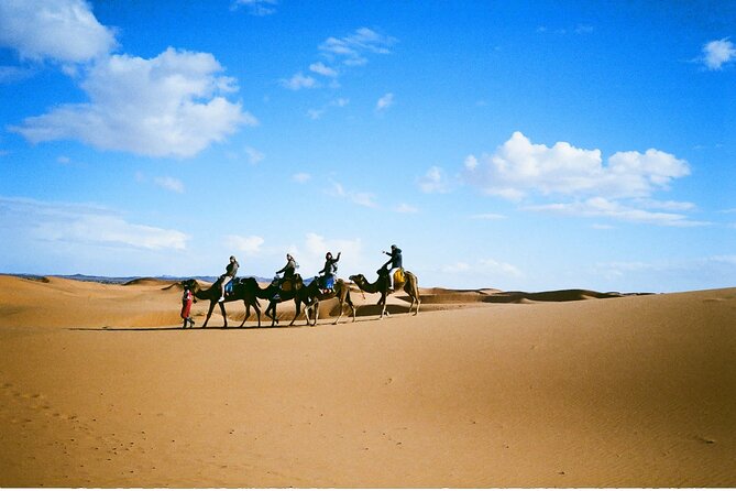 Camel Trekking & 1 Night Desert Camp