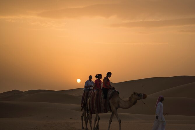 Camel Trekking in Open Red Dunes Desert - Experience the Desert Landscape