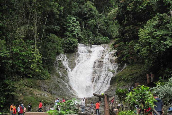 Cameron Highlands, Garden of Nature Full Day Private Guided Tour