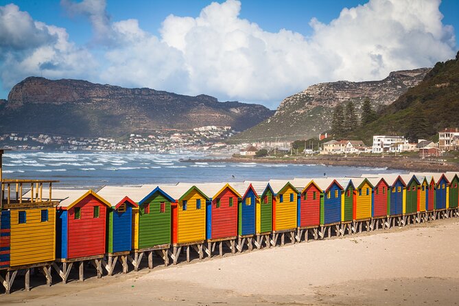 Cape of Good Hope and Penguins Full Day Small Group Tour From Cape Town