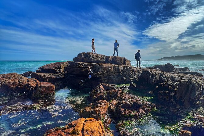 Cape of Good Hope Cape Point for Groups