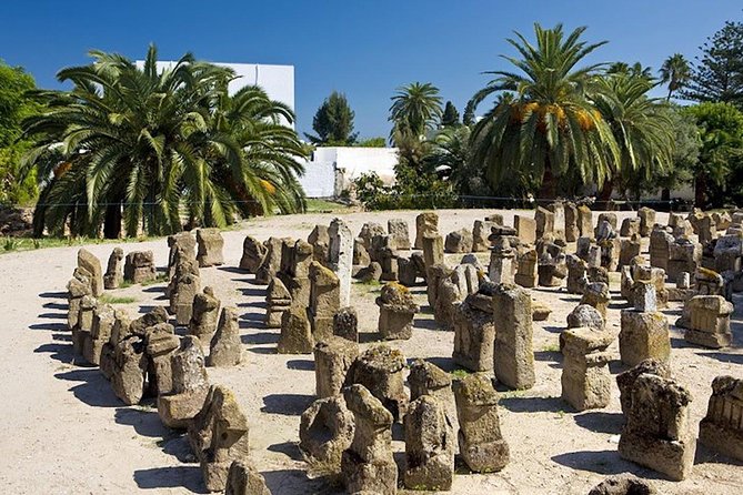 Carthage Discovery Half-Day Tour With Licensed Guide - Tour Highlights