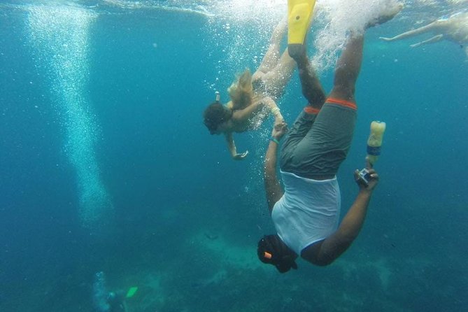Catalina Island & Snorkeling Full-day Trip