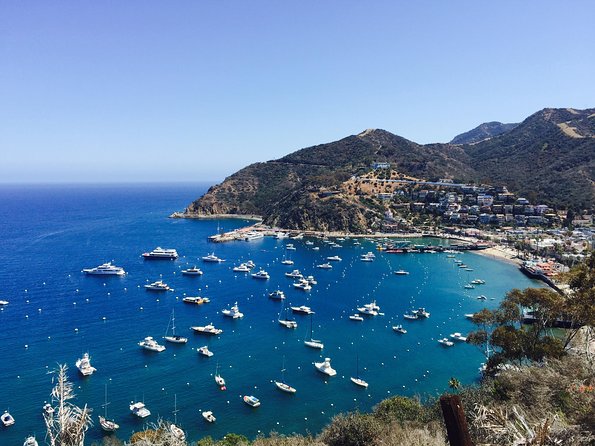 Catalina Island W/Discover Avalon Scenic Tour & Hotel Transfers