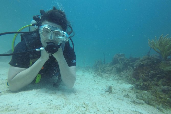 Catalina Island With Scuba Diving – Full Day Tour
