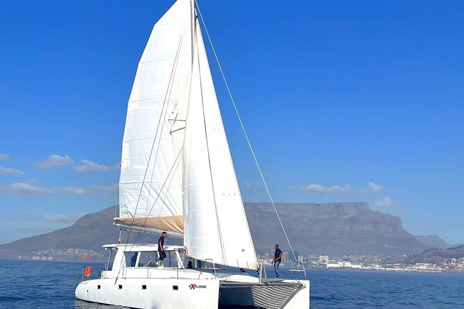Catamaran Cruise in Cape Town - Overview of the Catamaran Cruise