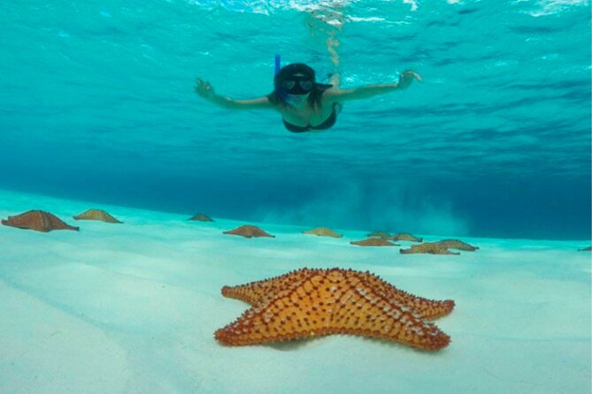 Catamaran Snorkel to El Cielo and Tortugas Beach Club