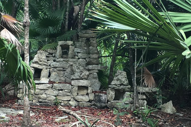 Cenote, Jungle, Bike & Lunch