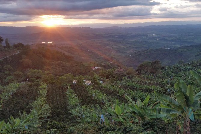 Charming Villages and Speciality Coffee
