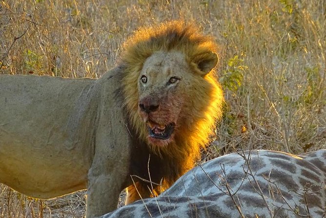 Chobe Day Trip From Victoria Falls