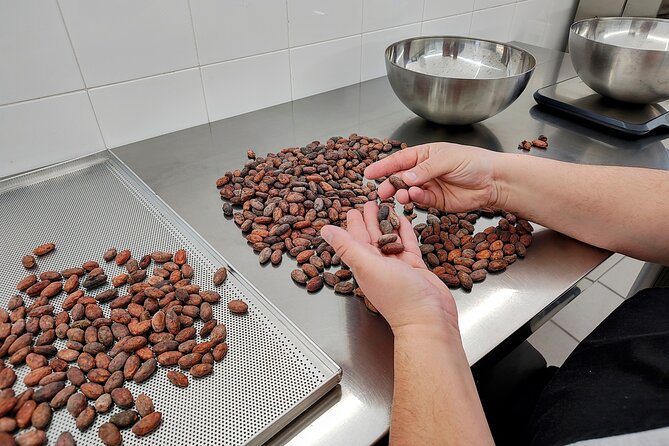 Chocolate Lesson in Modica for Small Groups - Overview of the Experience