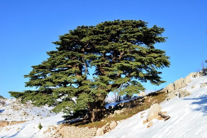 Chouf Charm: Private Journey Through Lebanons Historic Heartland