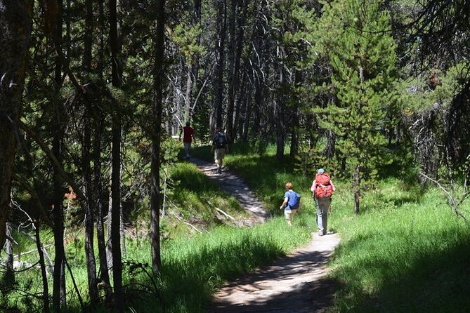 Classic Yellowstone Hike to the Shores of Lake Shoshone (Private up to 8 People) - Tour Overview and Highlights