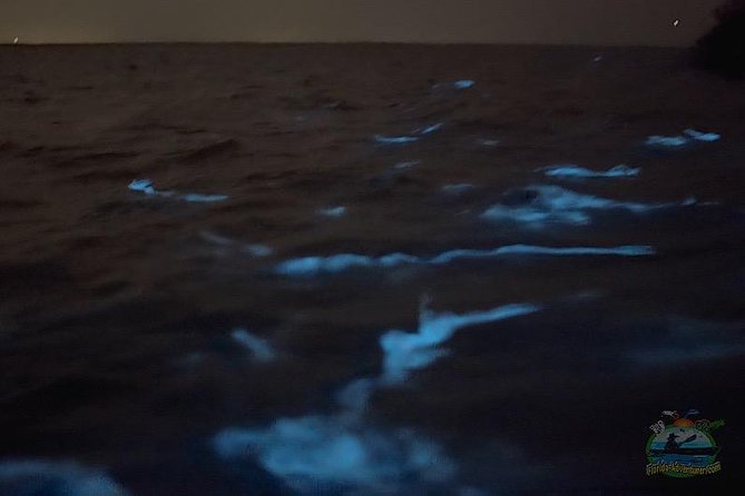 Clear Kayak Florida Bioluminescence Tour | Beacon 42 (Titusville)