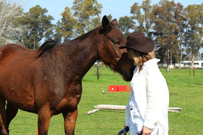 Coaching With Horses in Buenos Aires, Argentina