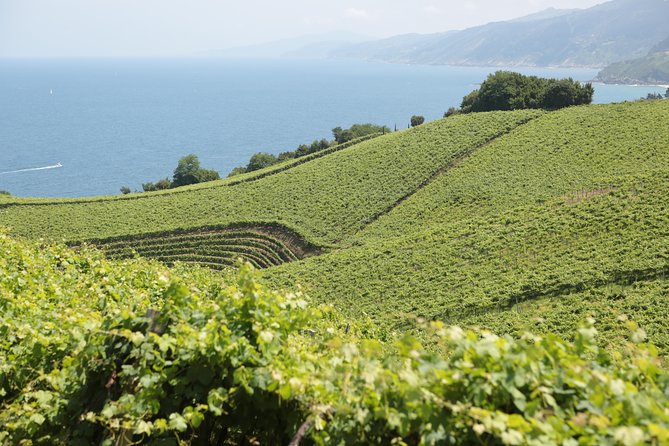 Coast, Fish and Txakoli Wine - Basque Croissant Tasting
